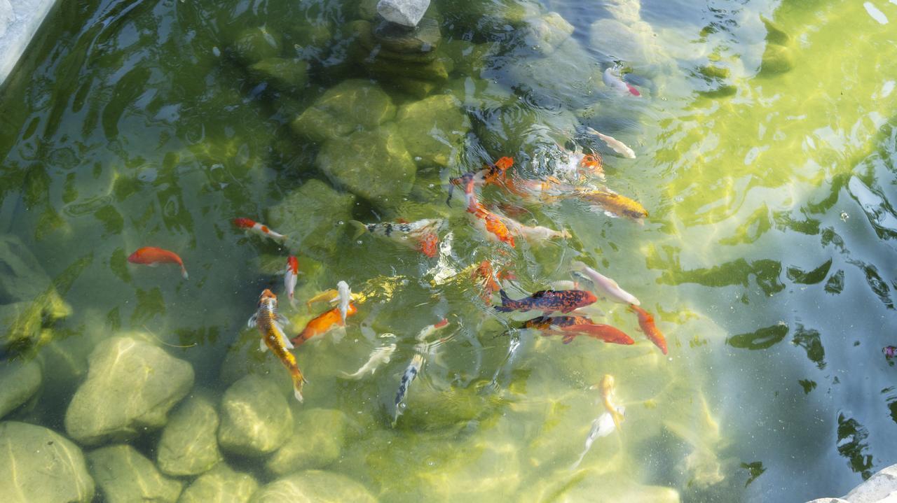 Pisces Garden B&B Checheng Exteriér fotografie